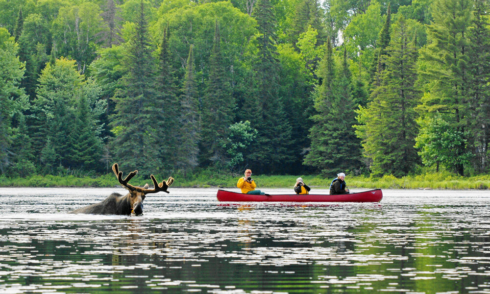 Holidays to Ontario - Algonquin Provincial Park