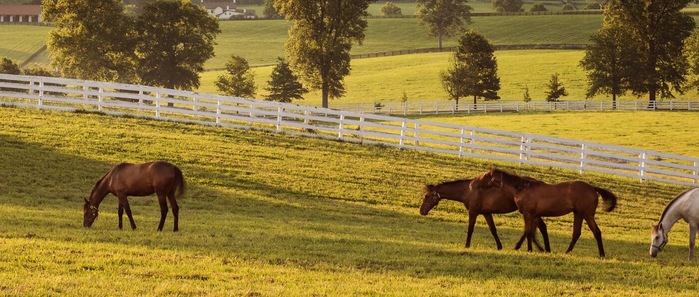 Kentucky Holidays Darby Dan Horse Farm.