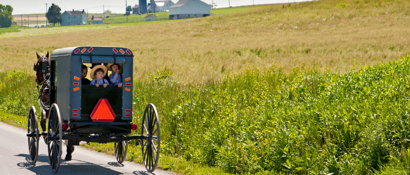 Horse and buggy in Amish Country - Holidays to Pennsylvania