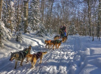 Dog Sledding and Snowshoeing Tour from Toronto