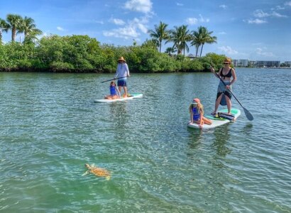 Paddle Boarding Eco Adventure Tour