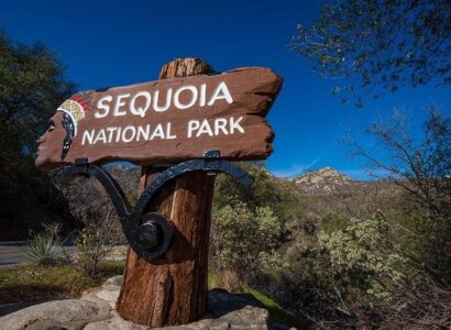 Sequoia National Park Adventure
