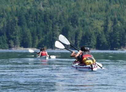 Campbell River Whale Watch and Kayaking Tour