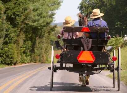 Amish Country Tour including Amish Farm and House from Lancaster