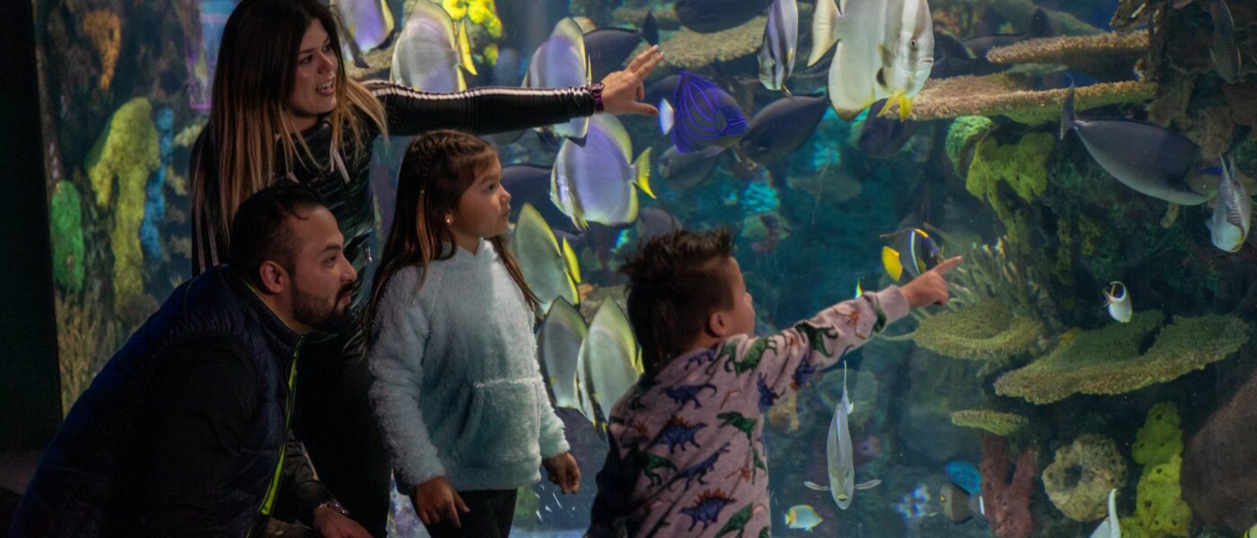 Ripley's Aquarium - Holidays to Toronto, Ontario