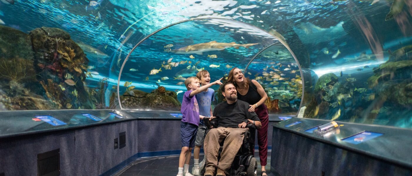 Ripley's Aquarium - Holidays to Toronto, Ontario