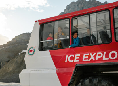 Columbia Icefield Discovery Tour, from Lake Louise