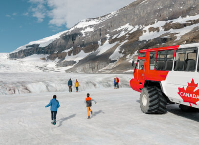 Columbia Icefield Discovery Tour, from Banff