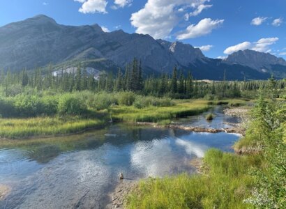 Cowboys and Coal Mines, Historical Walk, from Canmore