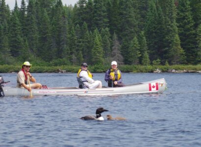 Algonquin Motorised Canoe Trip