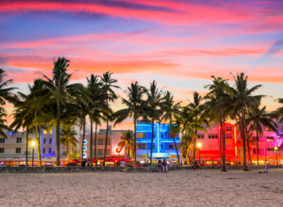 Scenic Miami Night Tour from Miami