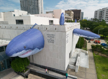 Museum of Natural Science Admission, Houston