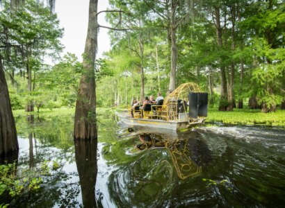 Atchafalaya Airboat Bayou Tour from Henderson