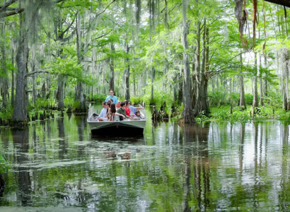 Bayou (Swamp) Tour + Oak Alley Plantation Tour from New Orleans